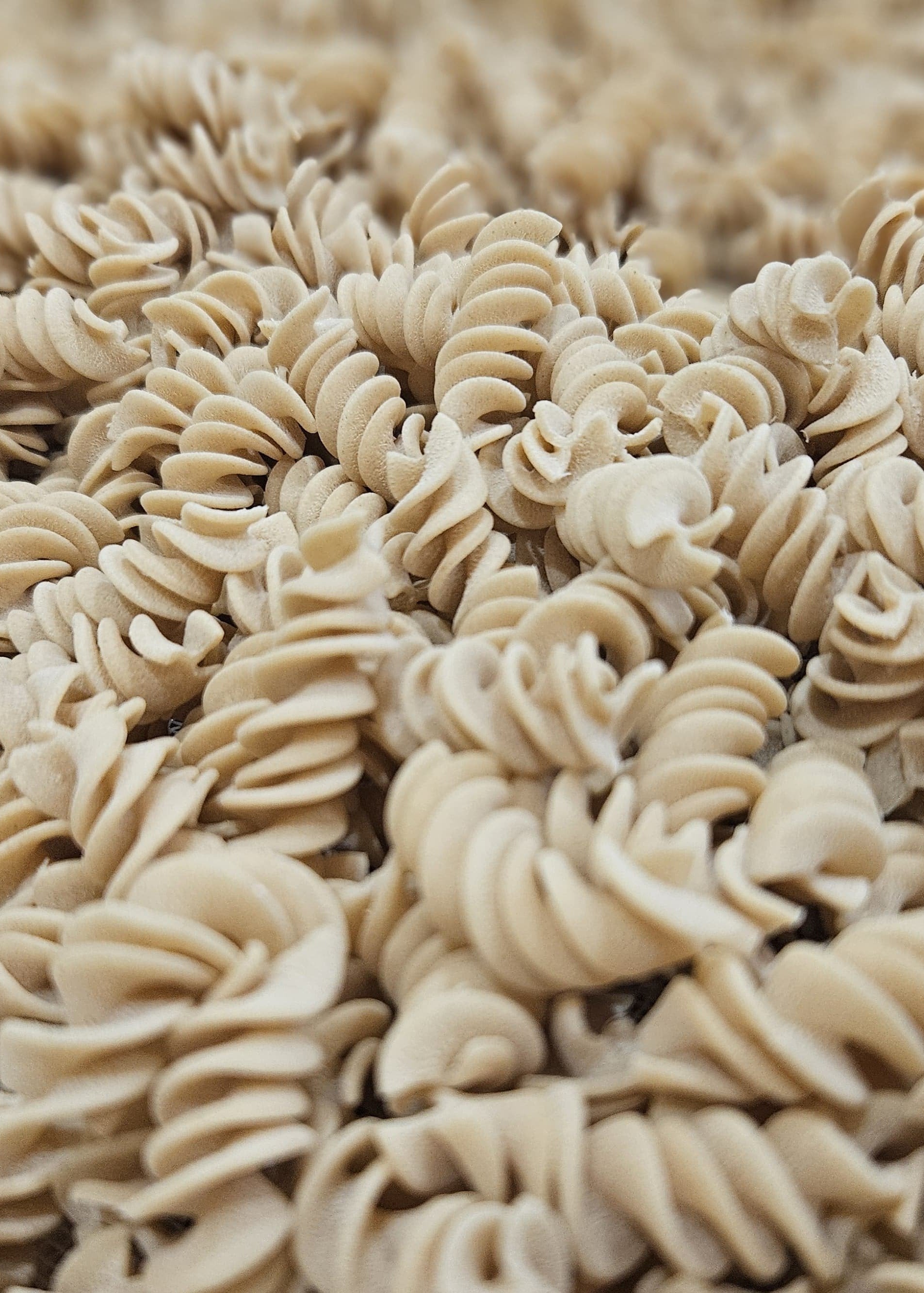 penne - pates du Vexin