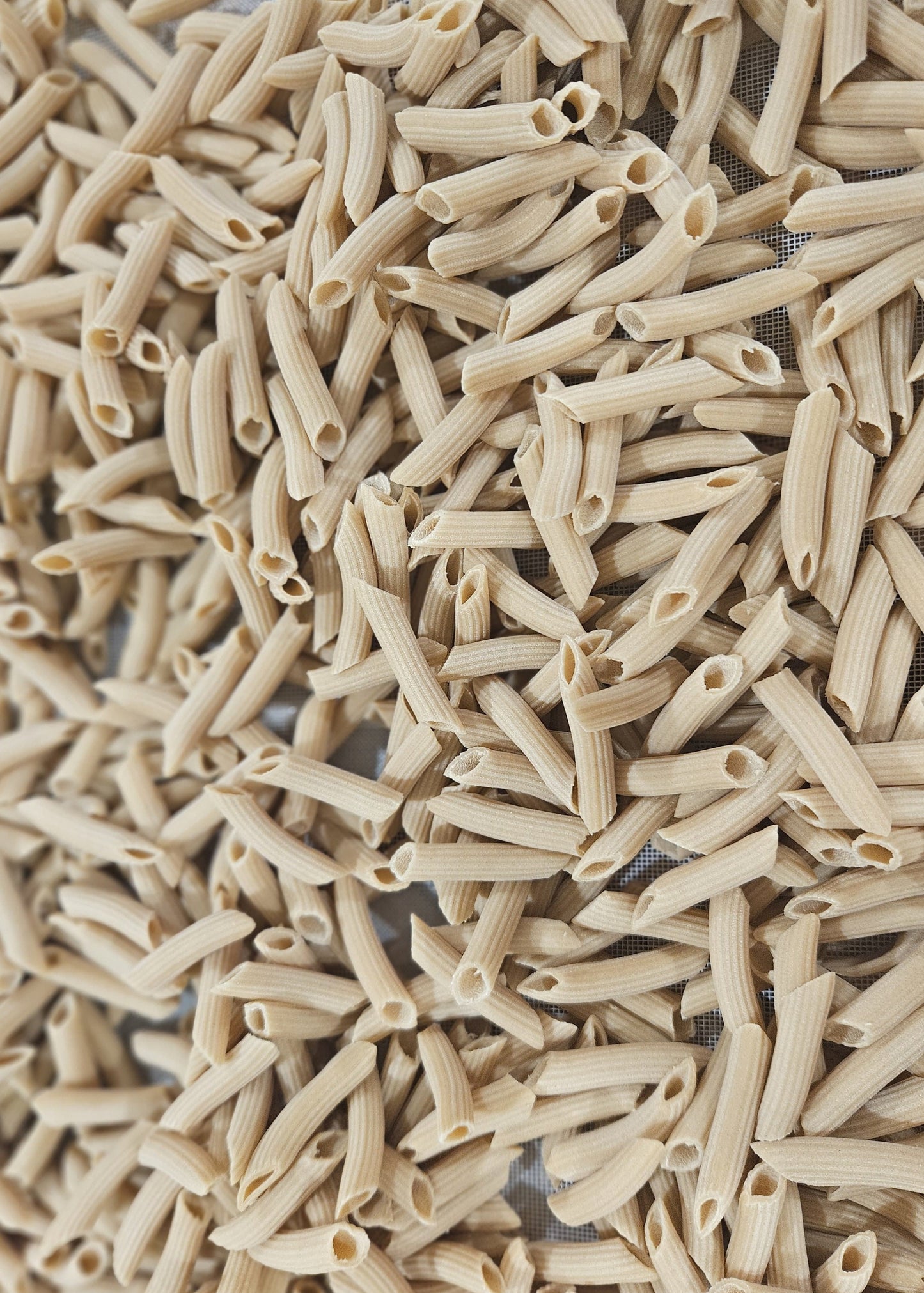 Les mini Penne 150g - Pâtes artisanales du Vexin