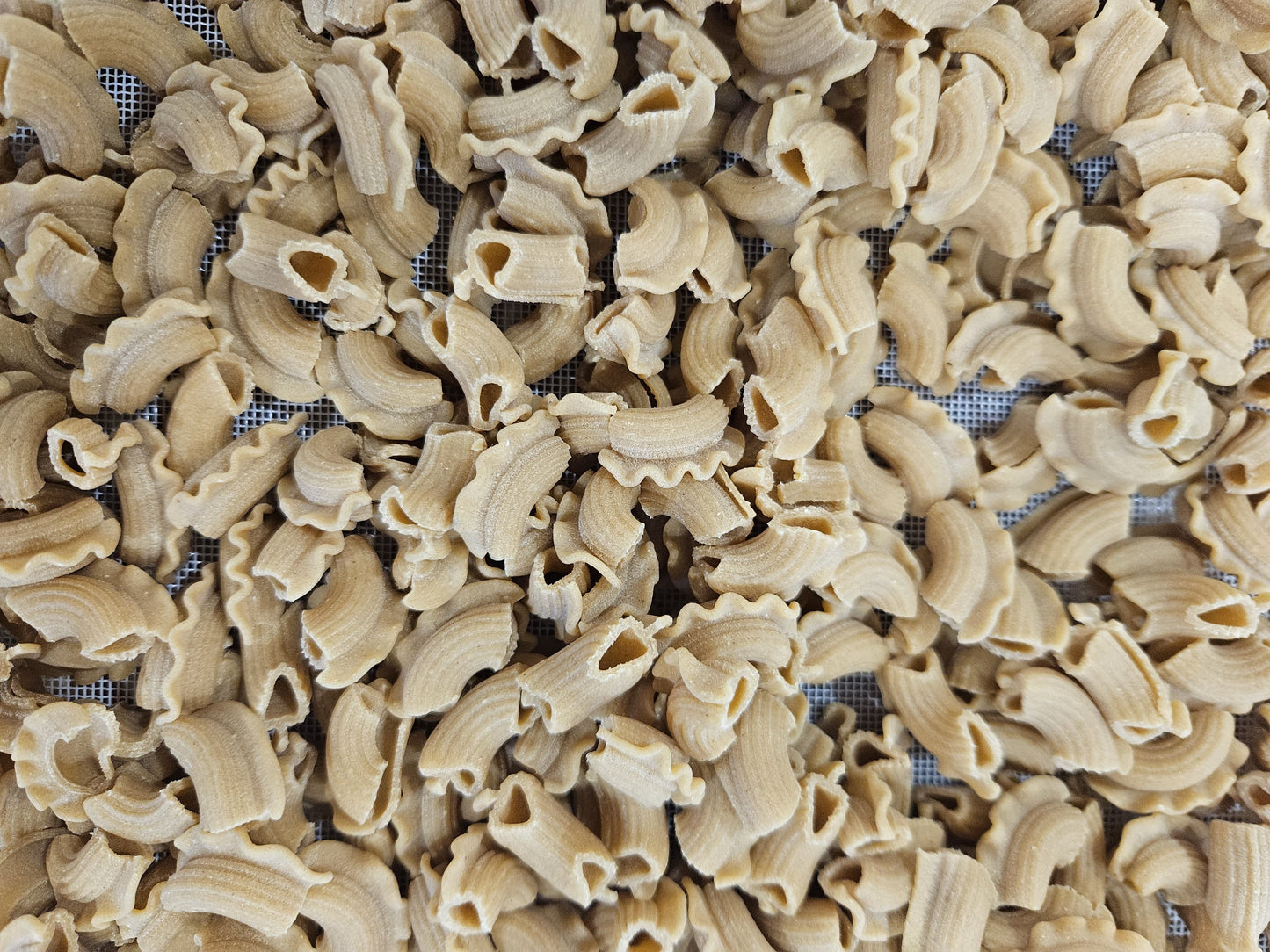 Les Crêtes de Coq 450g - Pâtes artisanales du Vexin