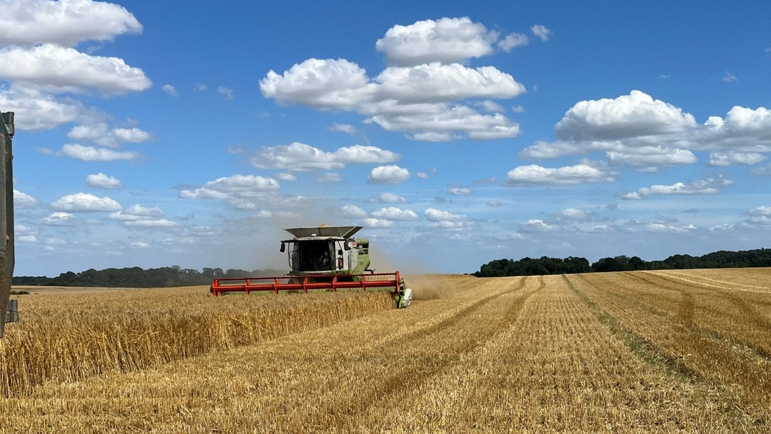 Producteur de pâtes dans ses champs de blé du Vexin, Val-d'Oise