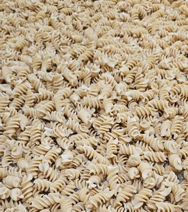 Fusilli artisanaux du Vexin en gros plan