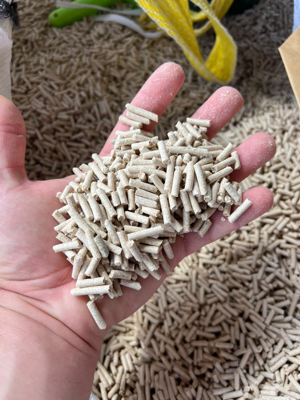 Poignée de granulés de blé au-dessus du tas, à la ferme