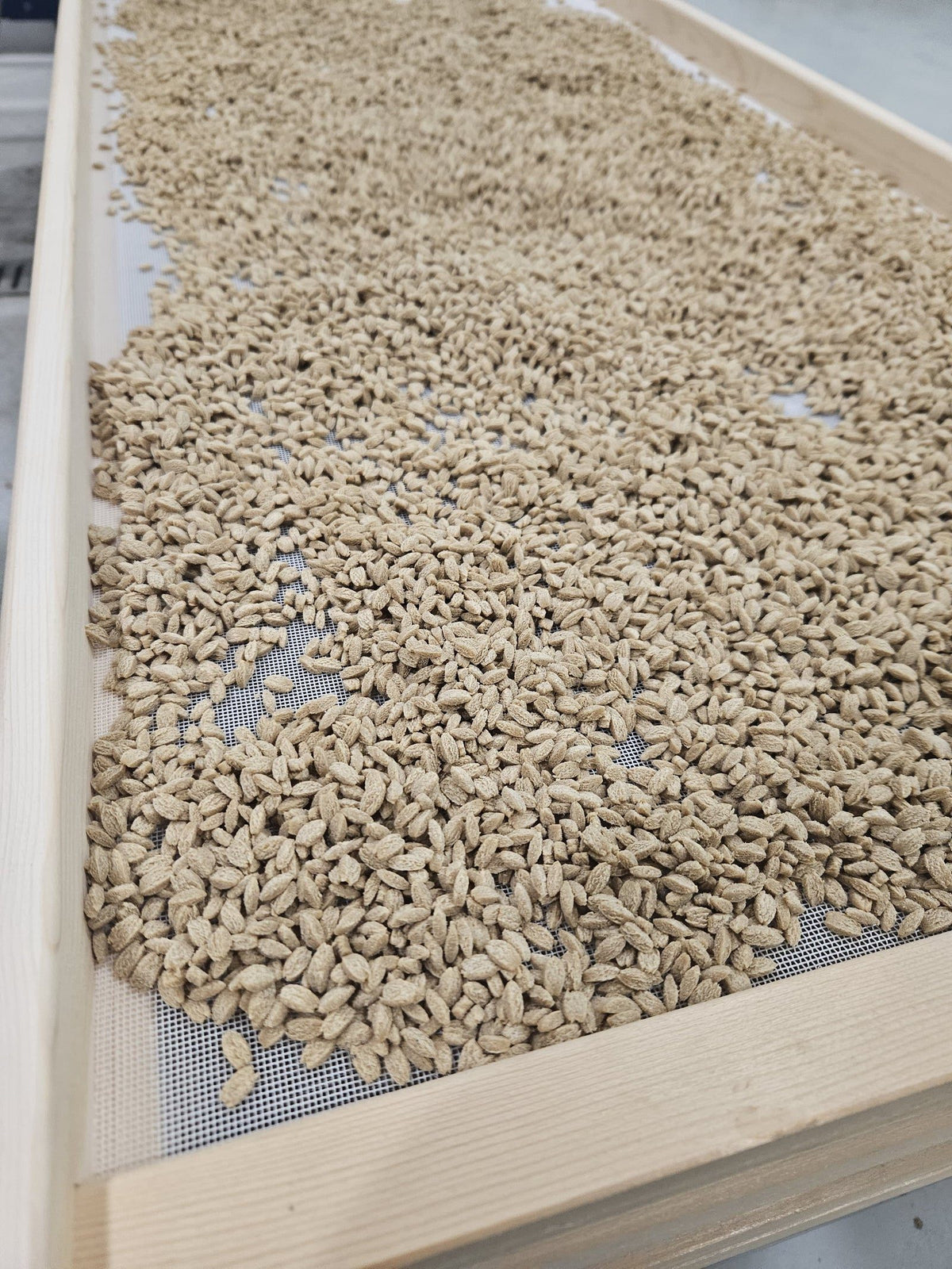 Risonis semi-complètes — 450 g